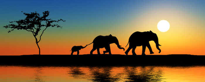 Crea il tuo viaggio con noi